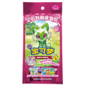 Pokémon TCG Simplified Chinese Gem Pack Pin Set